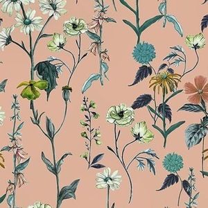 Meet your Posher, Kaylin